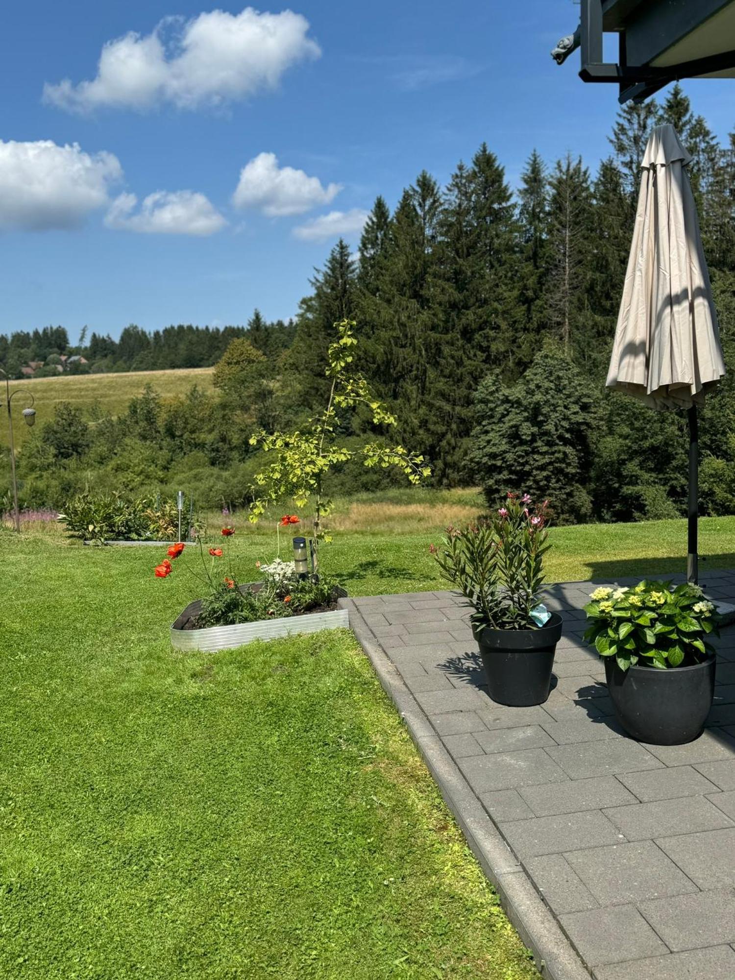 Appartement Max Clausthal-Zellerfeld Dış mekan fotoğraf